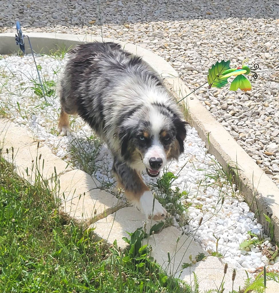 Tessy Des Beautés De La Vallée