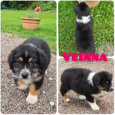 Veïnna