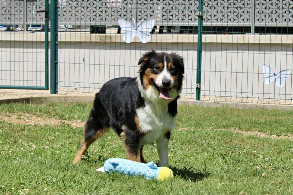 U'arya Du Domaine Des Belles Aubois