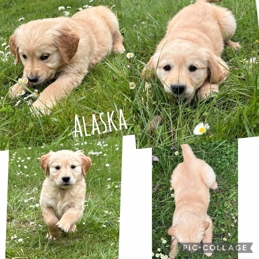 Alaska