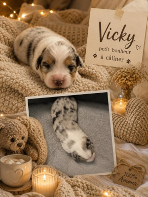 VICKY