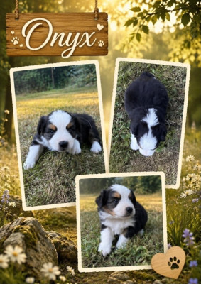 BEAU ONYX