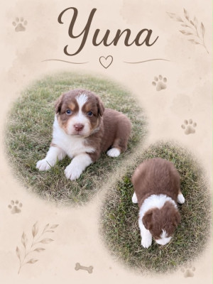 YUNA dit briska