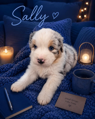 SULLY