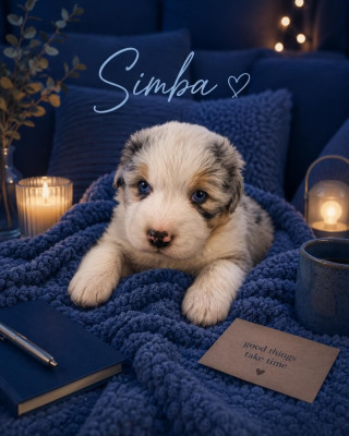 SIMBA