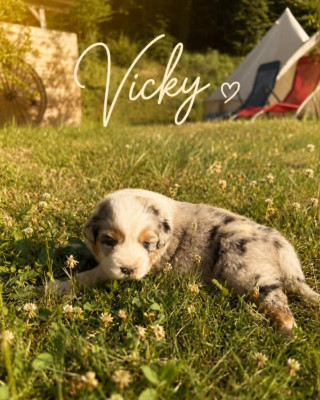 VICKY