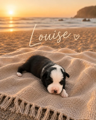LOUISE
