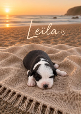 LAÏLA