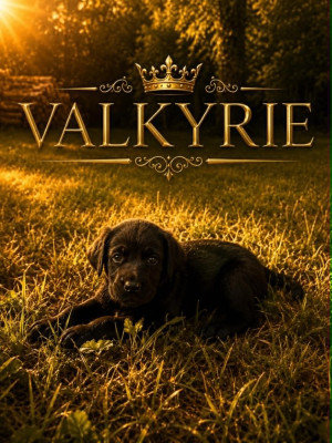 VALKYRIE