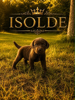ISOLDE dit BLUE