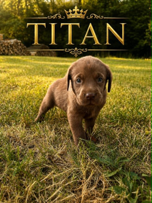 TITAN