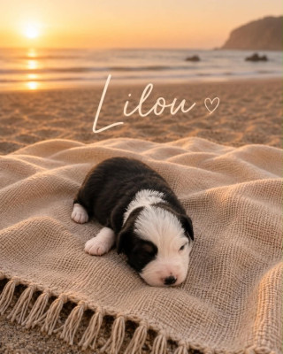 LILOU