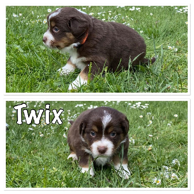 " TWIX "