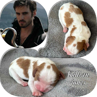 Killian Jones