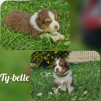 " Ty-Belle "